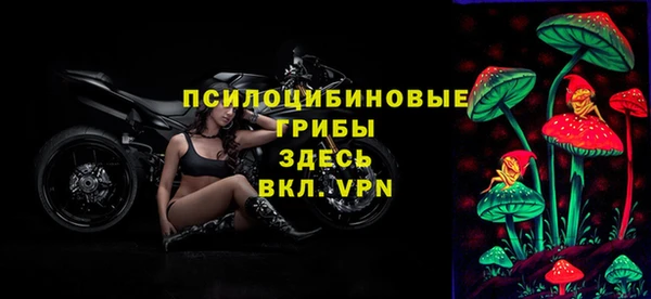 прущая мука Богданович