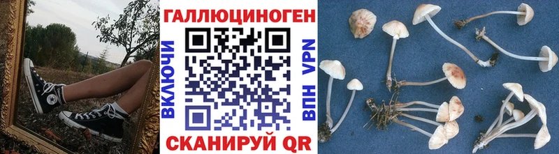 гидра ссылки  купить наркотики сайты  Шарыпово  Галлюциногенные грибы MAGIC MUSHROOMS 